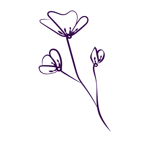 De Power In Jou Bloem Shirley De Koning De Power In Jou Bloem Shirley De Koning