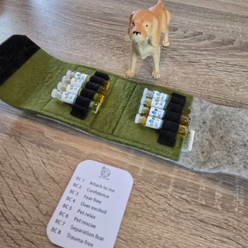 NEI voor dieren honden en katten